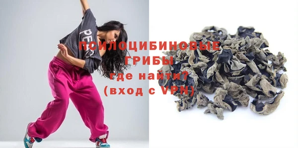 эйфоретик Каменногорск
