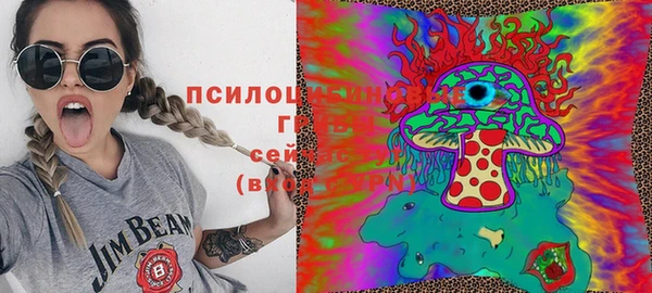 ешки Каменск-Шахтинский